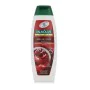 Shampoo Palmolive Naturals Shampoo 350 ml | Epamu | Beauty Shop - Parfums, Make-up & Essentials Epamu.eu