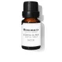 Essential oil Daffoil India Rosemary 100 ml | Epamu.eu | Beauty Shop - Parfums, Make-up & Essentials Epamu.eu