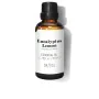 Essential oil Daffoil  Eucalyptus Lemon 50 ml | Epamu | Beauty Shop - Parfums, Make-up & Essentials Epamu.eu