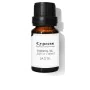 Essential oil Daffoil Cypress 10 ml | Epamu | Beauty Shop - Parfums, Make-up & Essentials Epamu.eu