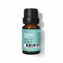 Óleo Corporal Daffoil Aceite Esencial Menta 10 ml | Epamu | Beauty Shop - Parfums, Make-up & Essentials Epamu.eu