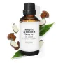 Aceite Capilar Daffoil Almendras (100 ml) | Epamu | Beauty Shop - Parfums, Make-up & Essentials Epamu.eu