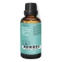 Huile dure Daffoil Amandes (100 ml) de Daffoil, Huiles pour cheveux - Réf : S0585490, Prix : 15,59 €, Remise : %