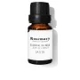 Aceite Esencial Daffoil Rosemary India (10 ml) | Epamu | Beauty Shop - Parfums, Make-up & Essentials Epamu.eu