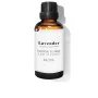 Essential oil Daffoil Lavendar 100 ml | Epamu | Beauty Shop - Parfums, Make-up & Essentials Epamu.eu