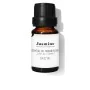 Aceite Esencial Daffoil Jazmín (10 ml) | Epamu | Beauty Shop - Parfums, Make-up & Essentials Epamu.eu