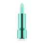 Balsamo Labbra Catrice Hemp & Mint 010-high on life Brillante (4,2 g) | Epamu | Beauty Shop - Parfums, Make-up & Essentials Epamu.eu