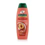 Champú Palmolive Naturals Shampoo 350 ml | Epamu.eu | Beauty Shop - Parfums, Make-up & Essentials Epamu.eu