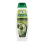 Champú Palmolive Naturals Shampoo 350 ml | Epamu | Beauty Shop - Parfums, Make-up & Essentials Epamu.eu