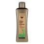 Champú Revitalizante Biokera Arganology Salerm 3001 300 ml | Epamu | Beauty Shop - Parfums, Make-up & Essentials Epamu.eu