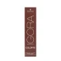 Tinta Permanente Igora Color10 Schwarzkopf 8-0 (60 ml) | Epamu.eu | Beauty Shop - Parfums, Make-up & Essentials Epamu.eu