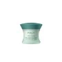 Corrector Facial Payot Pâte Grise | Epamu | Beauty Shop - Parfums, Make-up & Essentials Epamu.eu