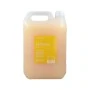 Champô Risfort Champú Mango 5 L | Epamu | Beauty Shop - Parfums, Make-up & Essentials Epamu.eu