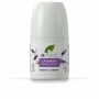 Deodorante Dr.Organic LAVANDA 50 ml | Epamu | Beauty Shop - Parfums, Make-up & Essentials Epamu.eu