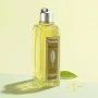 Duschgel L'Occitane En Provence Verveine 500 ml Verbena | Epamu | Beauty Shop - Parfums, Make-up & Essentials Epamu.eu