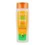 Champô + Condicionador Cantu 07987-12/3UK Óleo de abacate 400 ml | Epamu | Beauty Shop - Parfums, Make-up & Essentials Epamu.eu