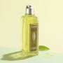 Duschgel L'Occitane En Provence  Reiniger Verbena 250 ml | Epamu.eu | Beauty Shop - Parfums, Make-up & Essentials Epamu.eu