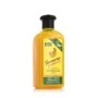 Champô Nutritivo Xpel Banana (400 ml) | Epamu.eu | Beauty Shop - Parfums, Make-up & Essentials Epamu.eu