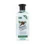 Champú Hidratante Xpel Coco 400 ml | Epamu.eu | Beauty Shop - Parfums, Make-up & Essentials Epamu.eu