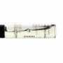 Anti-Aging Regenerationscreme Wiotech EmixRollon 5 ml | Epamu | Beauty Shop - Parfums, Make-up & Essentials Epamu.eu