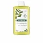 Shampoo Klorane Cidra Bio 400 ml | Epamu | Beauty Shop - Parfums, Make-up & Essentials Epamu.eu