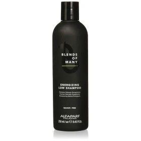 Champô Goldwell Dualsenses Blondes & Highlights 250 ml | Epamu | Beauty Shop - Parfums, Make-up & Essentials Epamu.eu