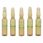 Ampollas Endoncare Tensage Regenerativo (10 x 2 ml) | Epamu | Beauty Shop - Parfums, Make-up & Essentials Epamu.eu