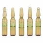 Ampoules Endoncare Tensage Regenerative (10 x 2 ml) | Epamu.eu | Beauty Shop - Parfums, Make-up & Essentials Epamu.eu