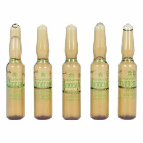 Ampoules Endoncare Tensage Régénérateur (10 x 2 ml) de Endocare, Lotions toniques - Réf : S0576637, Prix : 34,49 €, Remise : %