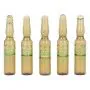 Ampoules Endoncare Tensage Regenerative (10 x 2 ml) | Epamu.eu | Beauty Shop - Parfums, Make-up & Essentials Epamu.eu