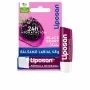 Bálsamo Labial Liposan BLACKBERRY SHINE 4,8 g | Epamu | Beauty Shop - Parfums, Make-up & Essentials Epamu.eu