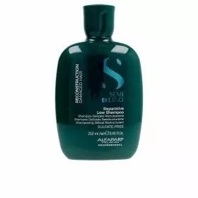 Champô Beauterra Bio 750 ml | Epamu | Beauty Shop - Parfums, Make-up & Essentials Epamu.eu