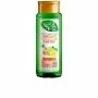 Champô Purificante Naturvital Eco Limão Gengibre (300 ml) | Epamu | Beauty Shop - Parfums, Make-up & Essentials Epamu.eu