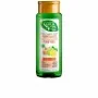 Champú Purificante Naturvital Eco Limón Jengibre (300 ml) | Epamu | Beauty Shop - Parfums, Make-up & Essentials Epamu.eu