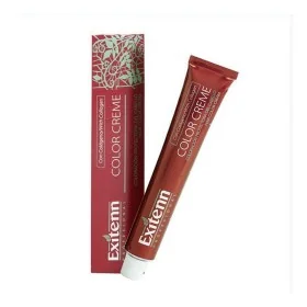 Tinte Permanente Igora Royal Schwarzkopf | Epamu | Beauty Shop - Parfums, Make-up & Essentials Epamu.eu