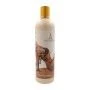 Body Lotion Shakira (473 ml) | Epamu | Beauty Shop - Parfums, Make-up & Essentials Epamu.eu