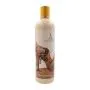 Lozione Corpo Shakira (473 ml) | Epamu | Beauty Shop - Parfums, Make-up & Essentials Epamu.eu