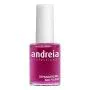 Pintaúñas Andreia Professional Hypoallergenic Nº 13 (14 ml) | Epamu | Beauty Shop - Parfums, Make-up & Essentials Epamu.eu