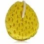 Body Sponge QVS 10-2030 (14 cm) | Epamu | Beauty Shop - Parfums, Make-up & Essentials Epamu.eu