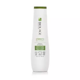 Champô Alfaparf Milano Semi Di Lino Scalp Relief 250 ml | Epamu | Beauty Shop - Parfums, Make-up & Essentials Epamu.eu