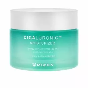 Facial Cream Mizon Cicaluronic 120 ml by Mizon, Moisturisers - Ref: S05117231, Price: 27,04 €, Discount: %