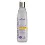 Colour Protecting Conditioner Blue Violet Anti-Yellow Effect Kativa (250 ml) | Epamu | Beauty Shop - Parfums, Make-up & Essentials Epamu.eu