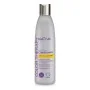 Farbschonender Conditioner Blue Violet Anti-Yellow Effect Kativa (250 ml) | Epamu | Beauty Shop - Parfums, Make-up & Essentials Epamu.eu