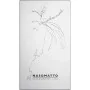 Perfume Unisex Nasomatto Silver Musk 30 ml | Epamu | Beauty Shop - Parfums, Make-up & Essentials Epamu.eu