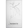 Perfume Unissexo Nasomatto Silver Musk 30 ml | Epamu | Beauty Shop - Parfums, Make-up & Essentials Epamu.eu