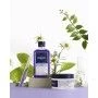 Crema Styling Phyto Paris Violet 250 ml | Epamu | Beauty Shop - Parfums, Make-up & Essentials Epamu.eu