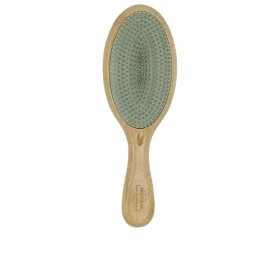 Smoothing Brush Shark HT202EU 900 W White | Epamu | Beauty Shop - Parfums, Make-up & Essentials Epamu.eu