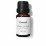 Ätherisches Öl Daffoil  Fenschel 10 ml | Epamu | Beauty Shop - Parfums, Make-up & Essentials Epamu.eu