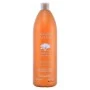 Pflegendes Shampoo Argan Sublime Farmavita 250 ml 1 L | Epamu | Beauty Shop - Parfums, Make-up & Essentials Epamu.eu