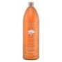 Shampoo Nutriente Argan Sublime Farmavita 250 ml 1 L | Epamu | Beauty Shop - Parfums, Make-up & Essentials Epamu.eu